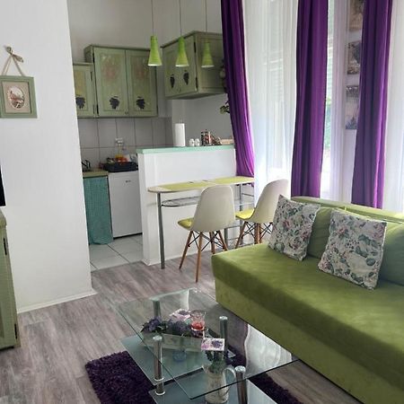 Center Cosy Vintage Apartment Нови Сад Екстериор снимка