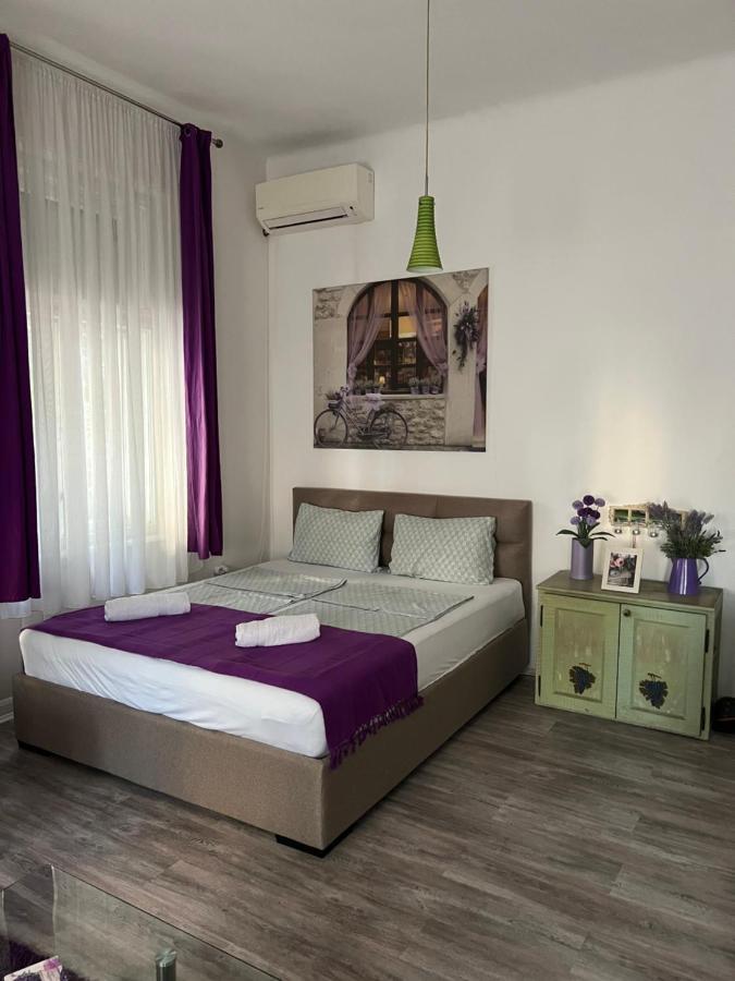 Center Cosy Vintage Apartment Нови Сад Екстериор снимка
