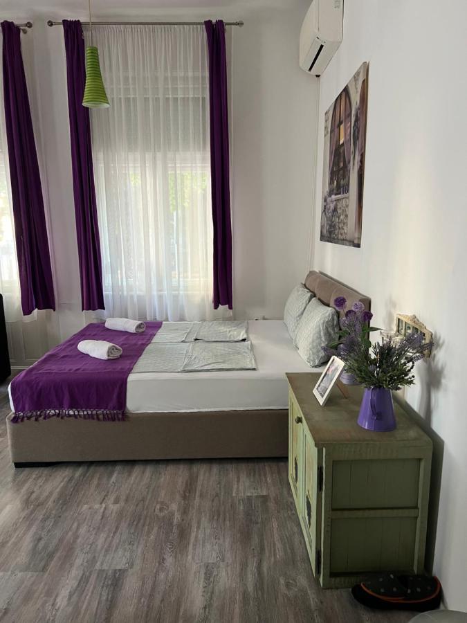 Center Cosy Vintage Apartment Нови Сад Екстериор снимка