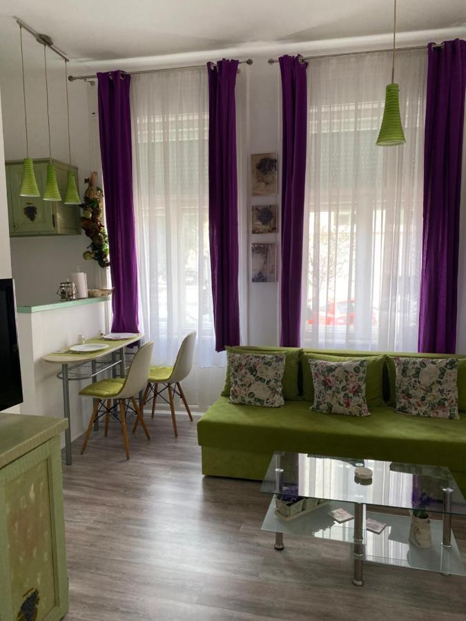 Center Cosy Vintage Apartment Нови Сад Екстериор снимка