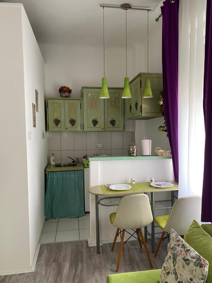Center Cosy Vintage Apartment Нови Сад Екстериор снимка