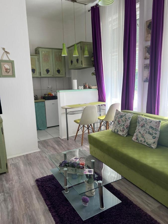 Center Cosy Vintage Apartment Нови Сад Екстериор снимка