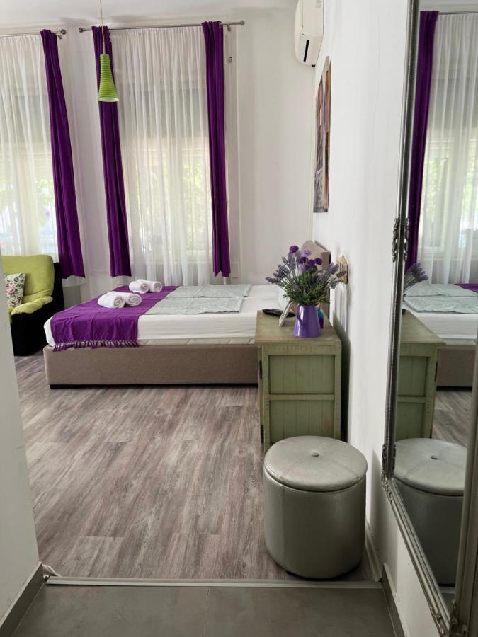 Center Cosy Vintage Apartment Нови Сад Екстериор снимка