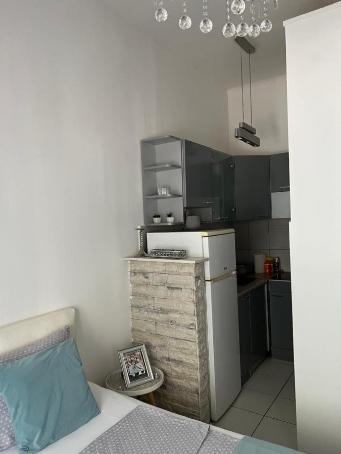 Center Cosy Vintage Apartment Нови Сад Екстериор снимка